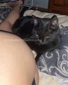 Анкета проститутки Влада - метро Тушино, возраст - 25