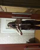 Анкета проститутки Элеонора - метро Сокол, возраст - 35